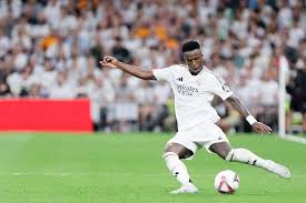 尽管期间面 尽管期间面